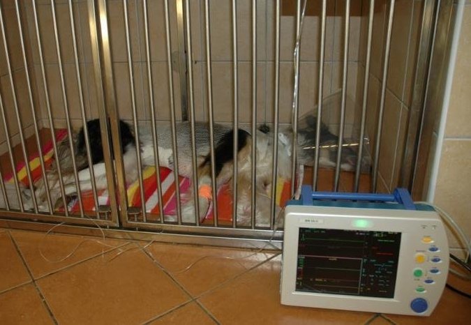 hospitalizace